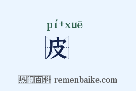 皮鞾是什么意思的图片